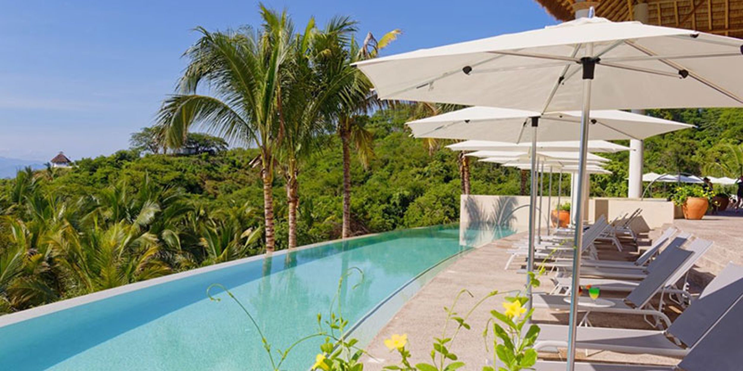 Infinity pool with lounge chairs and umbrellas surrounded by lush greenery