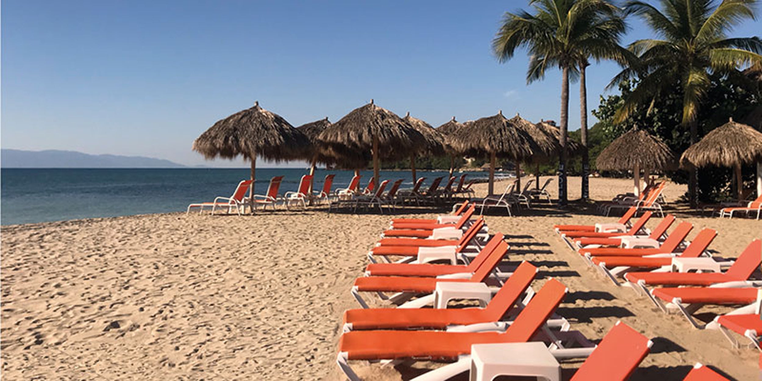 Beach scene with lounge chairs, thatched umbrellas, and palm trees by the ocean.